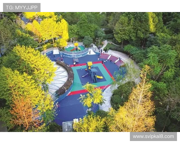 如何利用K8体育网站的社区功能与其他体育爱好者互动交流